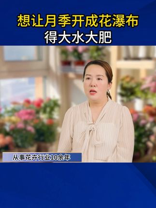 月季天生爱“吃”,光给喝自来水可不行,得给它补足营养#月季玫瑰养护 #月季玫瑰专用肥 #月季玫瑰肥 #花肥