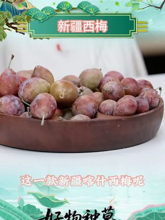 【新疆直发空运】新疆喀什正宗法兰西西梅现摘现发空运包邮 好物推荐法兰西西梅#法兰西西梅 #西梅 #新疆西梅 #水果 #好物分享