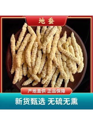 云南虫草参正品草石蚕地蚕土冬虫草白虫草生地黄泽兰根地参#虫草参 #煲汤 #滋补养生 #地蚕 #泡酒