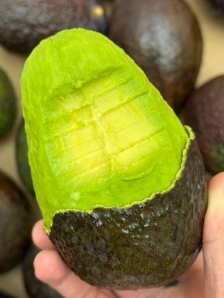 你买的牛油果是不是真正的哈斯牛油果 #哈斯牛油果 #牛油果 #新鲜应季水果 #水果