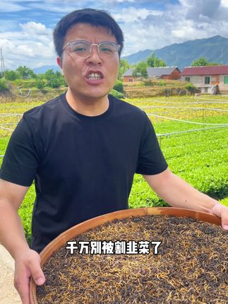 夏茶上市#滇红 买茶真的要注意辨别夏春茶#召唤茶友 #红茶