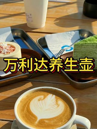 这个多功能养生壶家用办公室用都很方便,还能24小时预约,随时随地煮花茶果茶#多功能养生壶 #煮茶壶 #泡茶壶 #养生壶 #可预约养生壶 #抖音美好丰收节 #男士神仙单品 #在抖音入手的好东西 #无限回购的宝藏单品