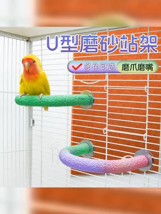 宠大条 鹦鹉磨砂站杆鹦鹉U型站杆磨脚磨嘴牡丹磨抓棒鸟用栖息棍 #鸟笼鸟具 #鹦鹉磨爪棒 #养鸟经验分享 #神奇动物在抖音 #鹦鹉站杆