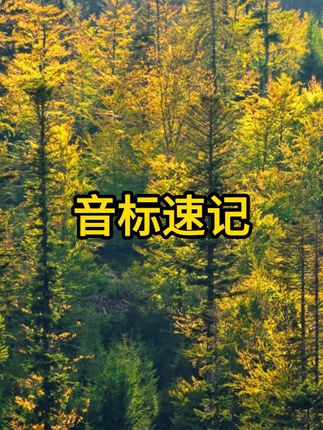 9月份上三年级,零基础英语如何学习?想要孩子学英语更轻松,一 定要提前打好基础#零基础英语#三年级英语#英语启蒙