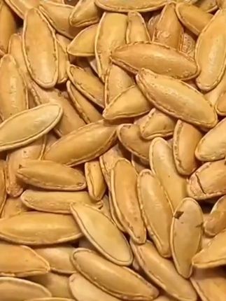 牛马不放假 ##炒货 南瓜子#美人甲南瓜子#美人甲#零食推荐#坚果