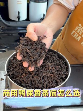 商用鸭屎香茶底到底应该怎么选? #秋冬热饮 #柠檬茶 #摆摊 #摆摊创业