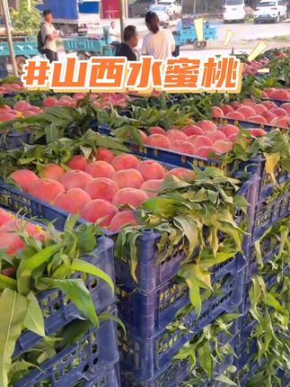 山西红不软水蜜桃新鲜现摘鲜甜多汁脆软两吃桃坏果包赔#脆甜多汁 #水蜜桃 #蜜桃 #桃子 #毛桃