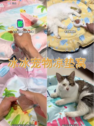 宠物冰垫冰窝圆窝狗狗凉席猫咪降温神器猫窝狗狗凉垫夏季防水耐磨 #猫窝 #猫咪冰垫 #宠物冰垫 #冰垫宠物