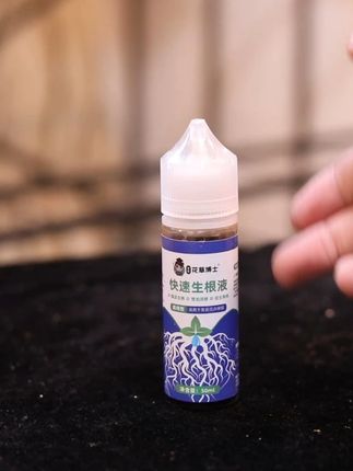 家庭养花中植物不生根怎么办呢?