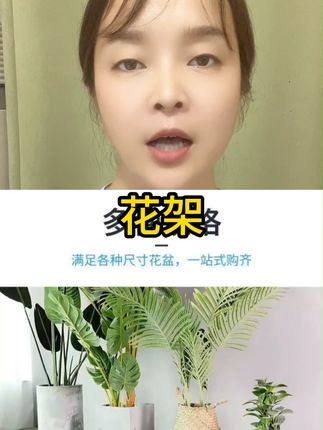 可移动锌钢花架带轮推车万向轮家具花盆托盘小推车耐用家用