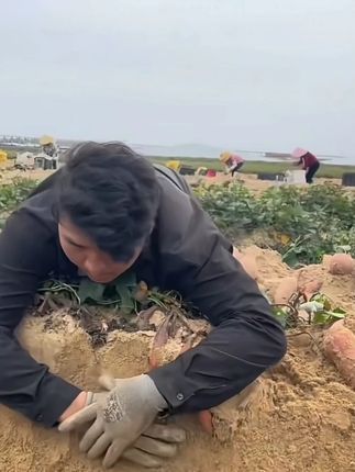 华仔的生活 #全进华 #华仔 #助农
