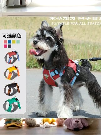 狗狗牵引绳中小型犬背心式遛狗绳比熊泰迪宠物背带狗链子防挣脱夏 #新手养宠 #萌宠日记 #趣味养宠