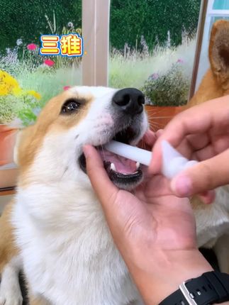 一放 二掰 三推,有这一个轻松给狗喂药,省时又省力#狗狗 #宠物喂药器 #萌宠好物 #喂药神器