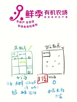 如何区分真散养和假散养 你买的是真的走地鸡,跑山鸡,溜达鸡么?什么是真的土鸡蛋和土鸡?什么是真的散养?#散养鸡#走地鸡#土鸡#土鸡蛋