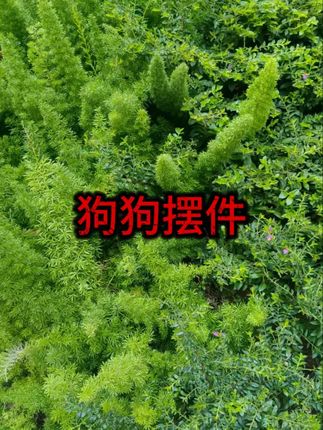 #钥匙收纳  #家居装饰  #创意摆件