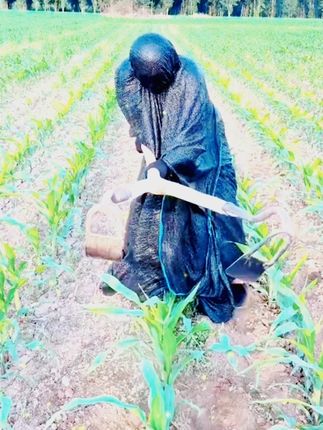 遮阳披风农活尖顶帽户外防晒叠穿斗笠隔热防雨采茉莉花 遮阳披风农活尖顶帽户外防晒叠穿斗笠隔热防雨采茉莉花