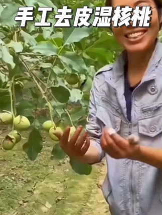 鲜核桃啊你千万别买贵了,我们才是真正的源头果园#新鲜核桃 #湿核桃
