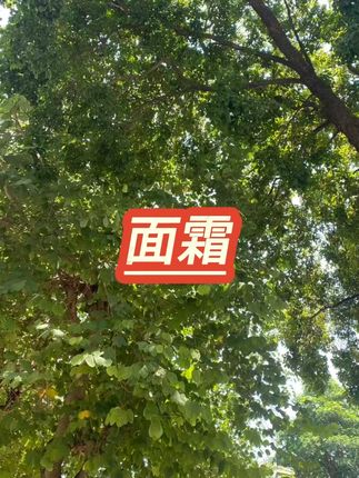 #男士面霜 #面霜 #面霜推荐
