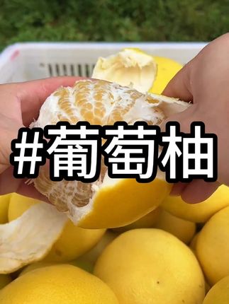 #水果 #葡萄柚