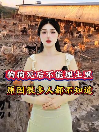 狗狗死后不能埋土里,您知道为什么吗 #新手养狗 #养狗小知识 #科学养宠攻略 #狗狗驱虫 #驱虫