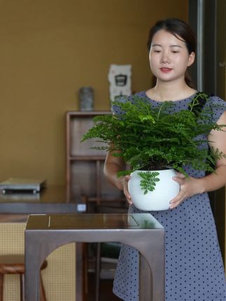 @好盆友娜娜 #花卉绿植盆栽 #吉姆蕨