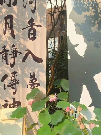 #穿搭  #显瘦穿搭  #小个子穿搭  #夏季穿搭  #裤子 cdb2