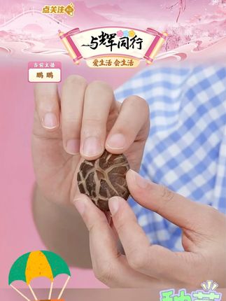 【菌之归】干小花菇200g*1/袋煲汤鲜美爆炒土特产香菇 #花菇 #干花菇 #小花菇 #花菇做法 #好物分享 @DOU+上热门 @DOU+小助手