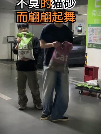 家里猫多的多包囤起真的很划算 #新手养猫 #多猫家庭 #除臭猫砂