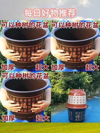 #果树专用花盆 #树脂花盆 #仿陶瓷花盆 #耐用花盆 #家用大花盆【40口径福利】果树专用大号树脂花盆仿陶瓷耐用耐晒家用大花盆清仓