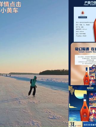 法国 佰仕廷爱丽舍宫XO白兰地 40度3000ml 礼盒装