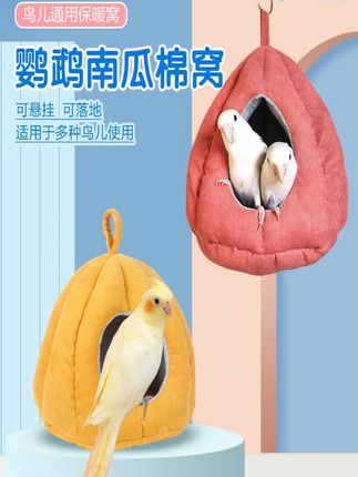 去年的棉窝一拿出来,小鸟闻着味就往里钻了,真的好喜欢#鹦鹉 #鹦鹉棉窝 #鹦鹉保暖窝 #鹦鹉窝