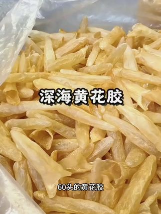 深海鸡蛋胶晾晒干货正品100克/500克 孕妇级滋补营养花胶饱满#鱼胶花胶 #唯有美食可以治愈一切 #滋补养生