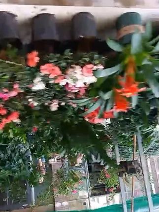 拍拍乐儿童摸高计数器跳跃弹跳鼓励发声器拉伸训练神器环保材质#计数器#拍拍乐计数器#环保计数器#摸高计数器#发声计数器