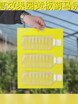 强黏粘虫板果园大棚专用黄板双面果实蝇诱捕器诱虫板贴纸农用蓟马 #大棚粘虫板 #粘虫黄板 #种植小技巧 #我可真会买 #大自然