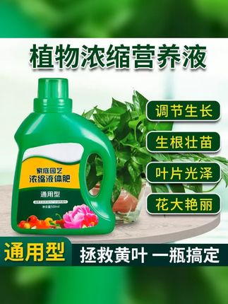 拉萨发货西藏包邮家用园艺浓缩植物种子肥料营养液 #浓缩植物营养液 #从拉萨发货 #植物浓缩营养液 #植物营养液 #好物推荐