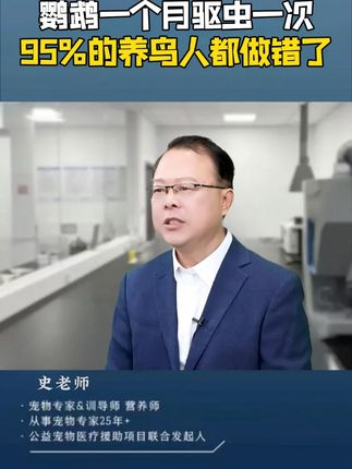 鹦鹉一个月驱虫一次可以吗?其实95%的养鸟人都做错了#鹦鹉#手养鹦鹉#养鸟#养鸟经验分享#新手养鸟