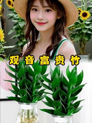 家里一定要摆上两盆#观音竹 ,因为它有着竹报平安,节节高升的美好寓意,叶片四季常青。#室内绿植 #净化空气