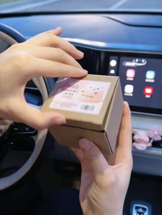 乾赞可爱摇头猪汽车摆件!中控台手工公仔,车载装饰礼品 #汽车摆件 #车载装饰