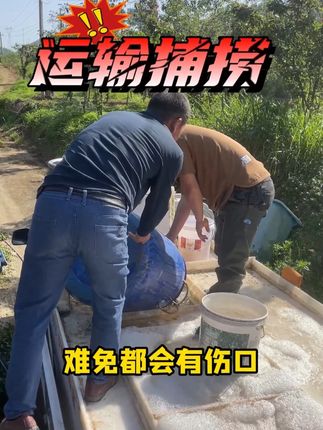 钓场低温预防水霉用霉停#威立妙 #水产养殖 #鱼塘