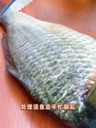【主播宠粉】多功能鱼肚刀 不锈钢去鳞刨 肚切花 一刀快速搞定 多功能鱼肚刀 不锈钢去鳞刨 肚切花 一刀快速搞定#一刀快速搞定 #生活好帮手 #厨房好物 #居家必备 #好物推荐分享