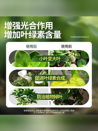 贝可施黄叶萃绿素除污亮叶黄叶变绿补充营养家庭专用营养液免稀释#贝可施黄叶萃绿素 #营养液 #除污亮叶 #黄叶变绿 #家庭养花