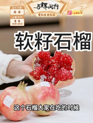25年突尼斯软籽石榴礼盒新鲜水果当季现摘整箱10四川会理无籽 #石榴 #水果 #美食推荐 #好物分享 #清甜