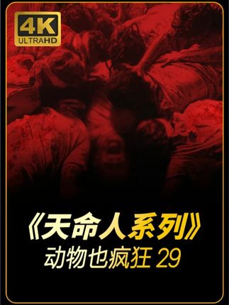 #瓜子二手车动物也疯狂的第29期。