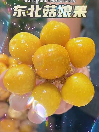 东北孩子从小吃到大的菇娘果真的巨好吃!脆甜多汁,真的巨好吃#应季水果 #菇娘果 #强烈推荐 #好吃到停不下来 #脆甜多汁 g