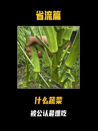 什么蔬菜被公认最难吃? #有趣的知识又增长了 #省流