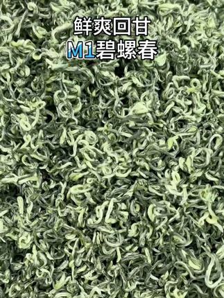 还在外面买大几百的碧螺春喝?快来我家看看,茶农价就能带回家!#每日一茶 #茶香四溢 #喝茶