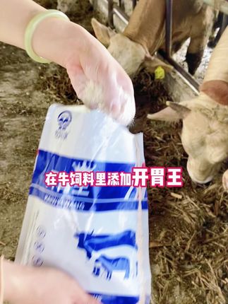 #养牛人 #养牛技术 #三农 #牧饲康开胃王 #养殖