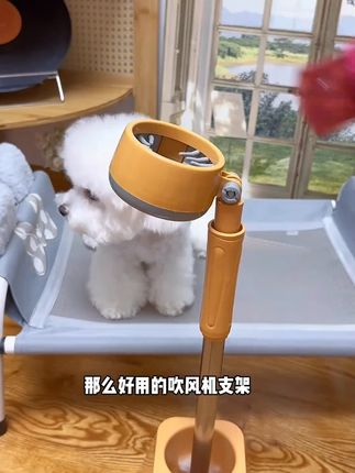 宠物吹风机支架狗狗吹毛风筒固定支架宠物吹风机吹猫吹狗洗澡神器#宠物用品 #宠物吹风机支架 #猫狗洗澡 #宠物好物 #宠物护理