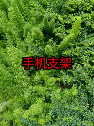 #车载手机支架  #长安专用  #重力支架