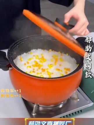 #微压锅 Konka康佳微压锅电磁炉煤气灶燃气灶通用汤锅胖墩墩微压锅#锅 #家用锅 #汤锅 #家用汤锅